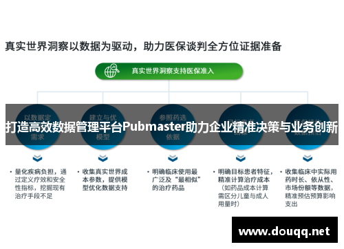 打造高效数据管理平台Pubmaster助力企业精准决策与业务创新